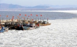 大连海域海冰融化 大量浮冰涌到岸边