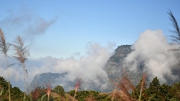 阿里山秋景如画