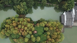 合肥：环城公园秋色美
