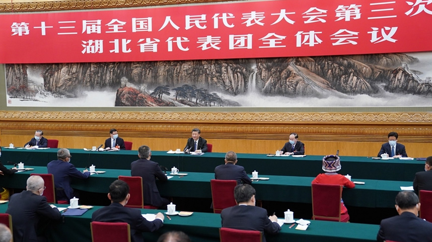习近平参加湖北代表团审议