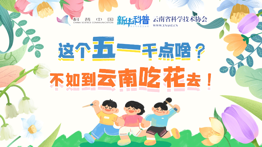 打開(kāi)“花花”世界！云南人究竟有多愛(ài)吃花？