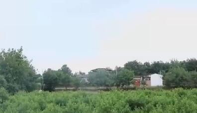 国家助学贷款开始受理 多项政策缓解还款压力