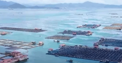 2021年我国水产品总产量达6690万吨 产业融合水平显著提高