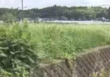 日本多地有机氟化物含量超标 大量民众血检异常