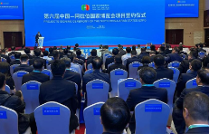 第六届中阿博览会形成合作成果403个金额超1700亿元
