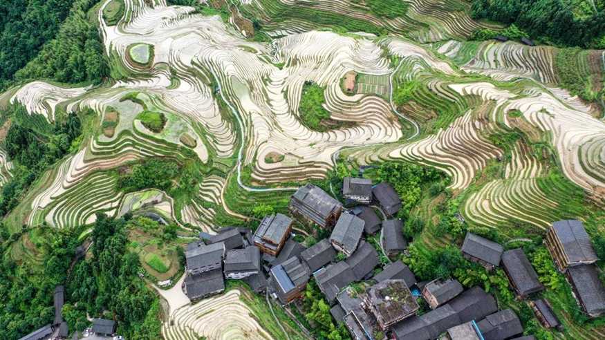 广西大寨：小山村领回了联合国奖牌