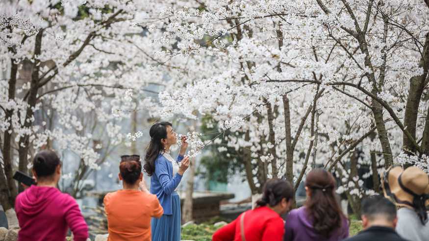 花开引客来