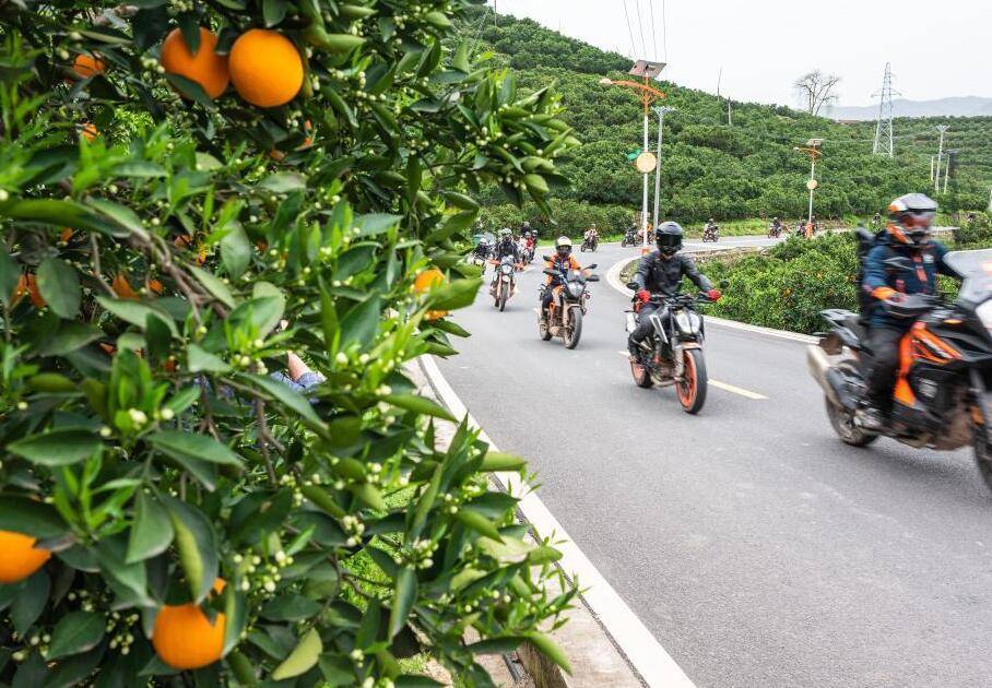 湖北秭归：特色旅游助力乡村振兴