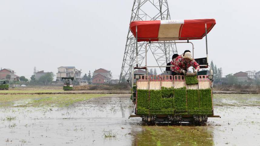 江西南昌：机械化插秧助力春播春种
