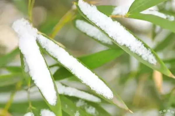 春寒料峭 冻杀年少 当心倒春寒偷袭你的膝关节