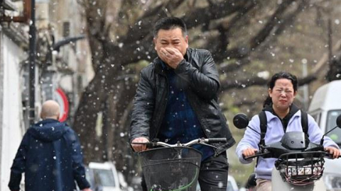 楊柳飛絮進(jìn)入高發(fā)期 易過(guò)敏人群如何做好防護(hù)