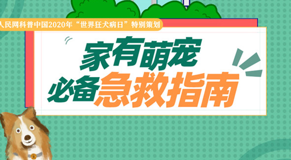 被狗咬伤担心感染狂犬病 3个知识点帮助急救