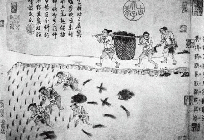 北魏与隋唐虽均实行均田制 但在具体实行中却有一定差异