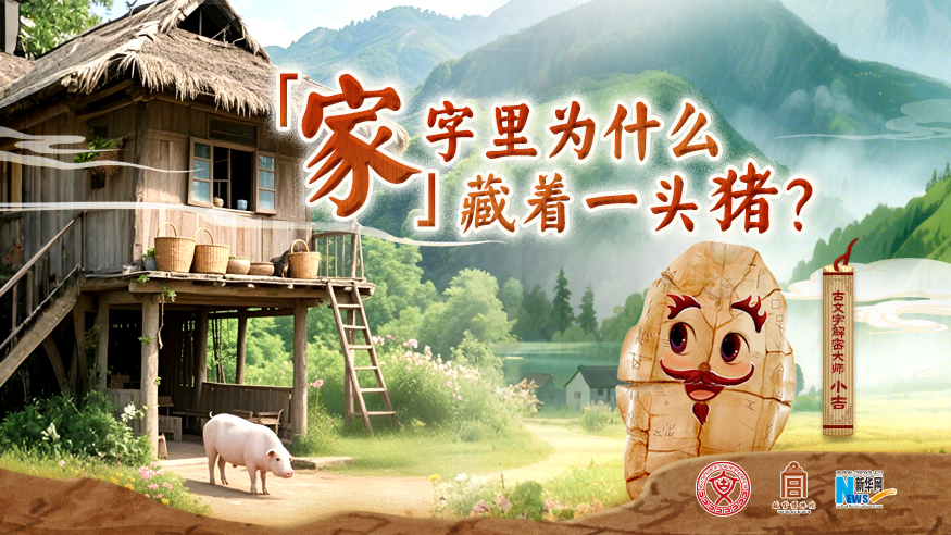 字古以來丨“家”字里為什么藏著一頭豬？
