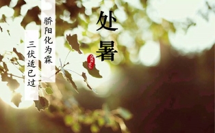 二十四节气之处暑：三伏适已过 骄阳化为霖