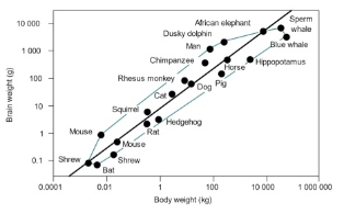 认知科学视角下 男性和女性的大脑是否存在差异
