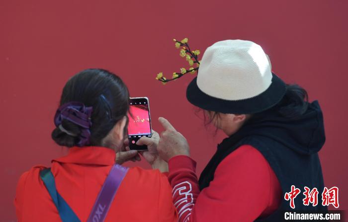 杭州文旅觀察：德壽宮的墻為什么是紅的？
