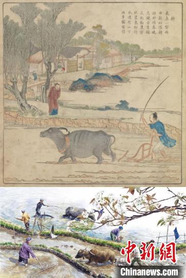 上圖為選自《御制耕織圖》焦秉貞 繪(清彩繪本)，下圖選自九神鹿繪本館《盤中餐》，于虹呈繪 中少總社供圖