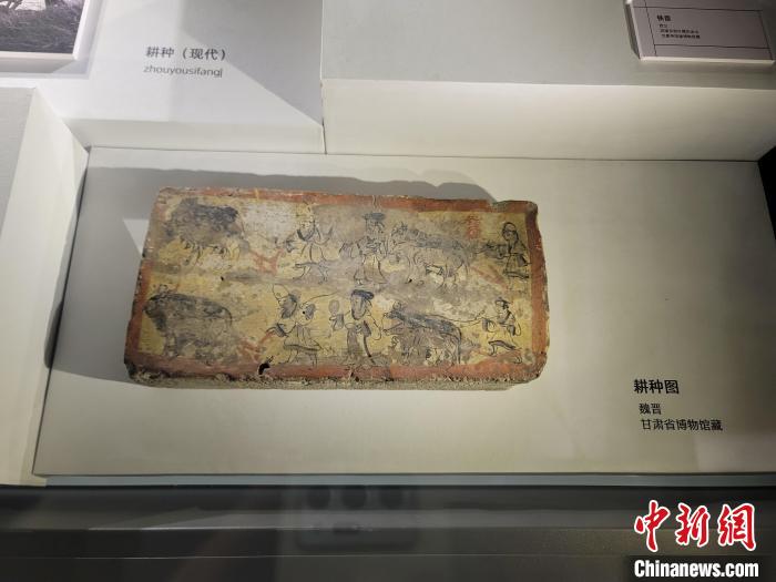 圖為展出的文物?！“⒘漳?攝