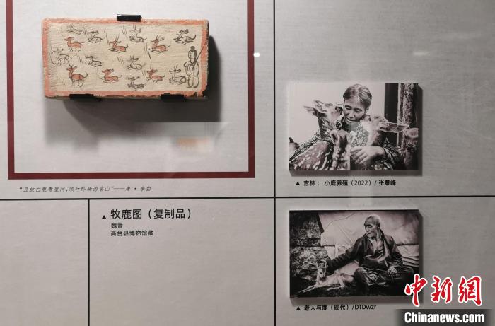 “我們”的生活記錄——古代畫像磚與現(xiàn)代攝影作品展開展。　漢景帝陽陵博物院供圖