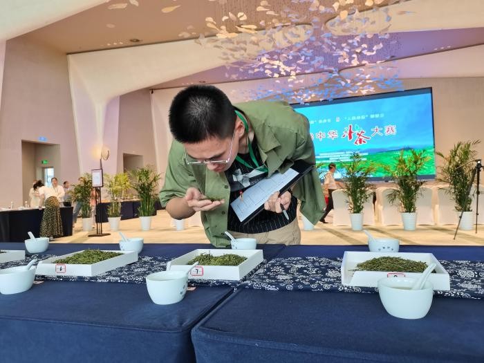 专家选手聚浙江磐安“斗茶” 共品茶文化魅力