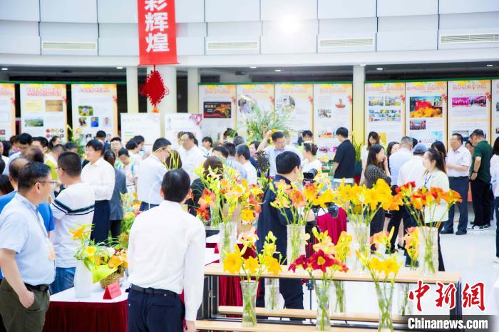 小黃花釋放大能量2023中國（上海）萱草文化節(jié)在滬開幕