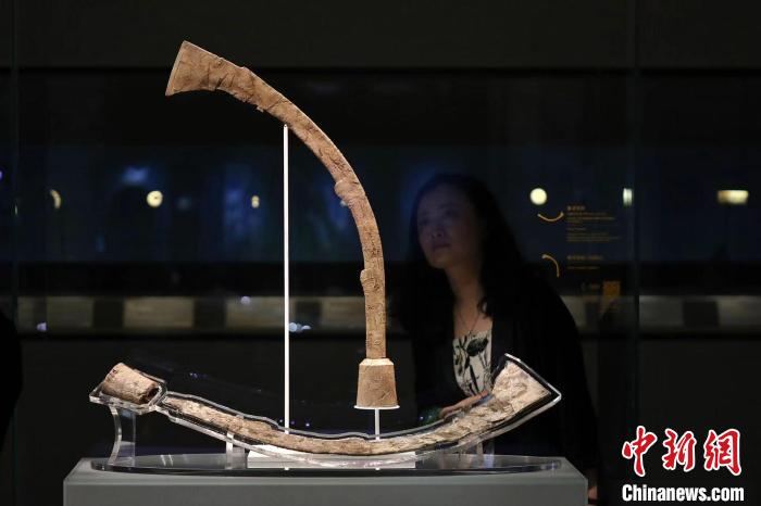 上海博物館“實(shí)證中國：崧澤·良渚文明考古特展”?！埡鄠?攝