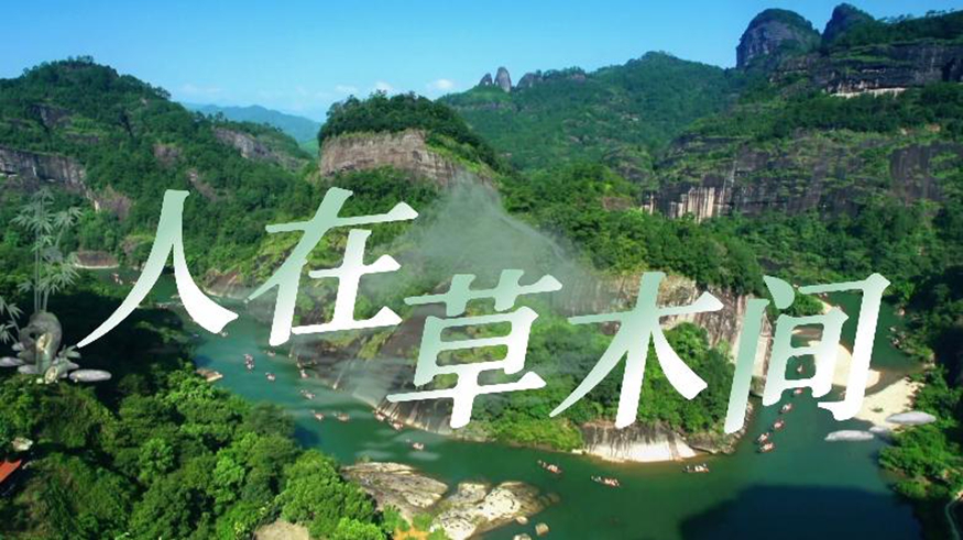 何以中國(guó)｜走進(jìn)武夷山 人在草木間