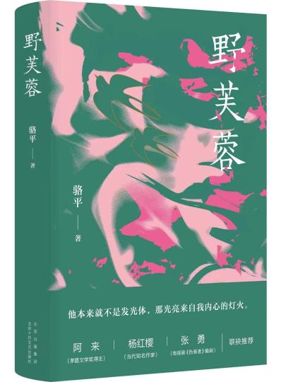 長篇小說《野芙蓉》：70后的心靈回溯