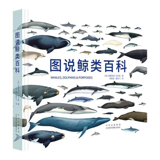 《圖說(shuō)鯨類(lèi)百科》：遨游壯麗的鯨魚(yú)世界