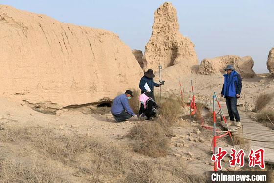 甘肅鎖陽城塔爾寺遺址等3個(gè)考古發(fā)掘項(xiàng)目揭新發(fā)現(xiàn)