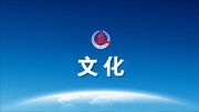 2022年全国规模以上文化及相关产业企业营业收入增长0.9%