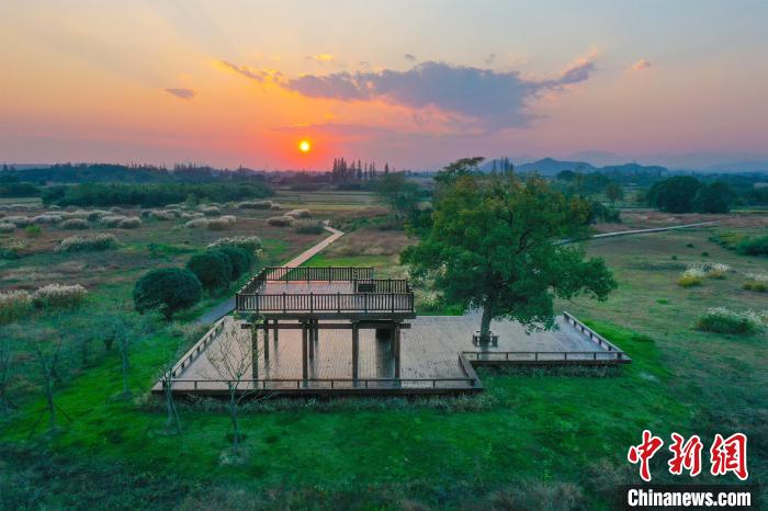 良渚申遺成功四周年：讓文化越過(guò)“圍墻”
