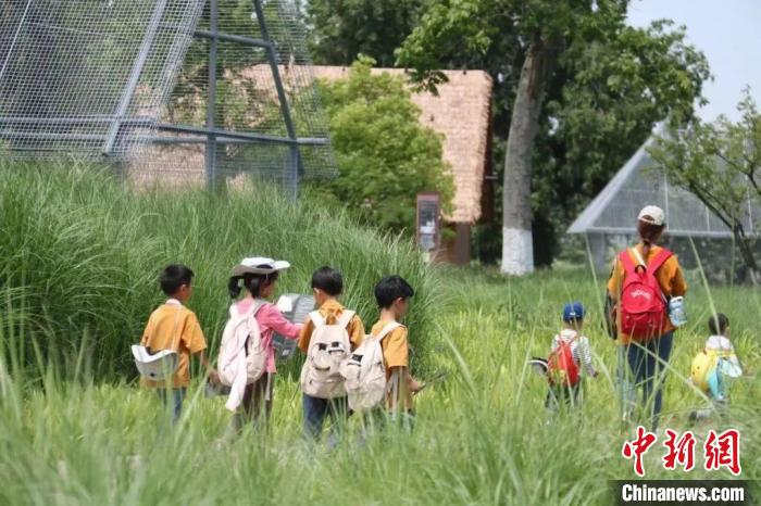 良渚古城遺址公園開(kāi)展研學(xué)游?！×脊芪﹫D