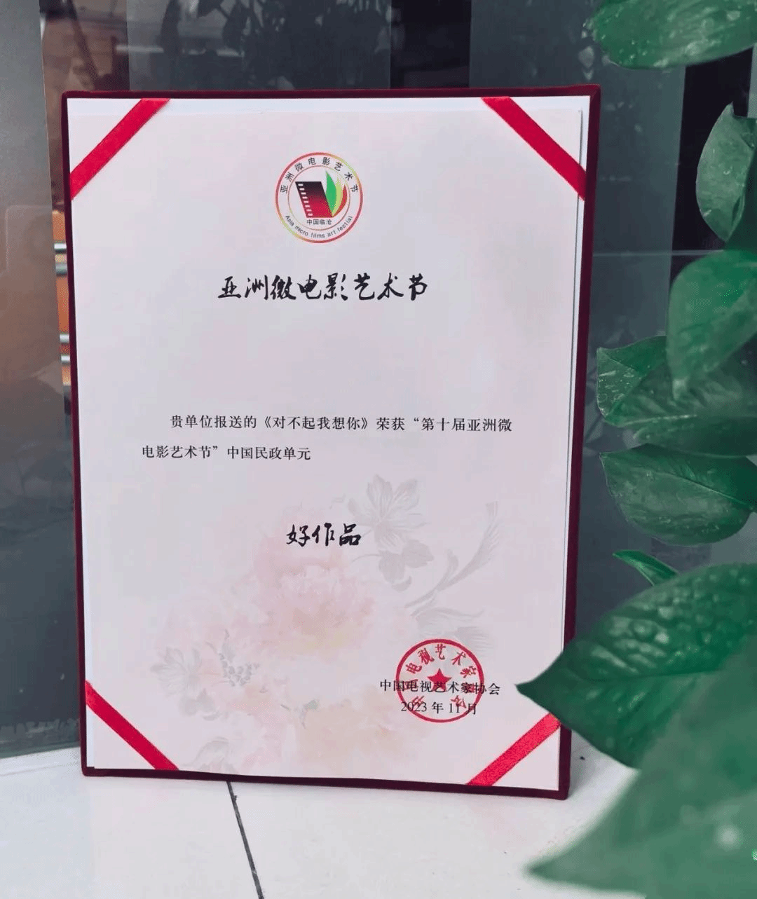 喜報(bào)傳來(lái)！反邪教微電影《對(duì)不起我想你》，亞洲微電影節(jié)獲獎(jiǎng)！