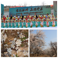河南汝州市借力杏花节开展反邪教宣传（图）