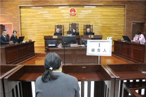 阿拉善一女子散发“法轮功”邪教宣传品获刑