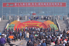 山东寿光市借国际蔬菜博览会开展反邪教宣传
