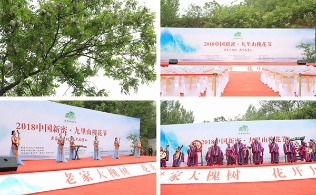 河南新密市反邪教宣传走进槐花节（图）