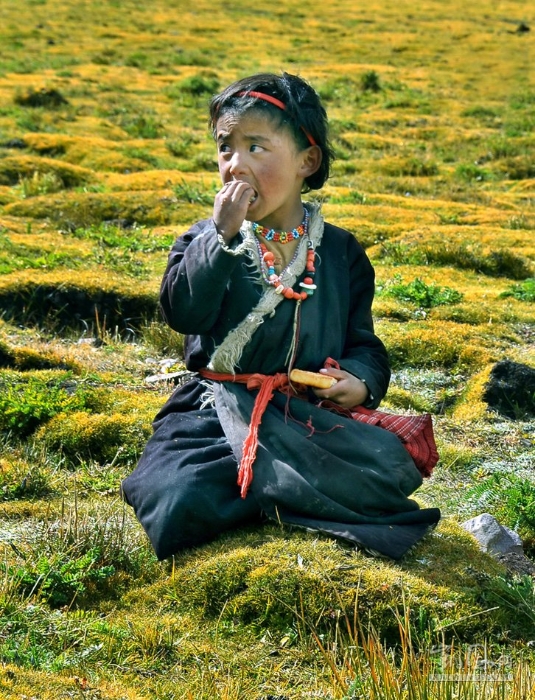 淳樸可愛的藏區(qū)人_凱風(fēng)印象