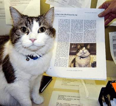 說明: Oscar-the-cat
