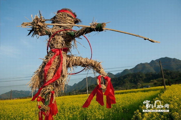 油菜花地演繹西天取經(jīng)故事