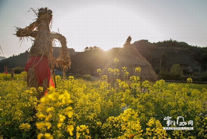 油菜花地演繹西天取經(jīng)故事