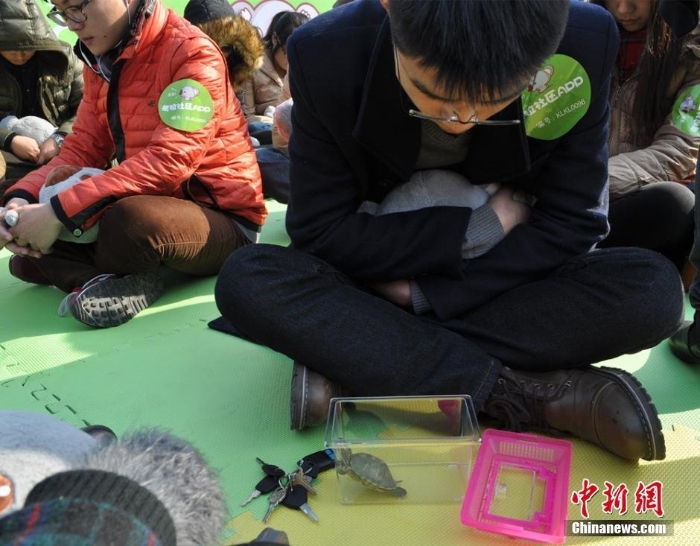 無錫辦發(fā)呆大賽市民靜坐比“呆”