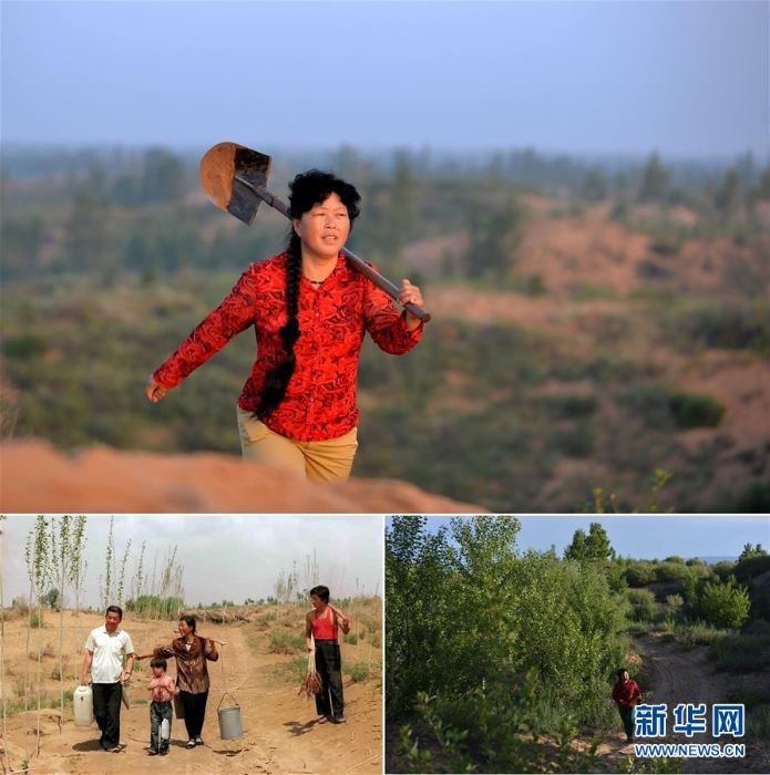 （新華全媒頭條·防沙治沙·圖文互動）（2）與黃沙掰手腕的人——中國草根治沙人物群像