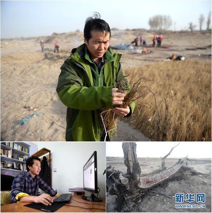 （新華全媒頭條·防沙治沙·圖文互動）（3）與黃沙掰手腕的人——中國草根治沙人物群像