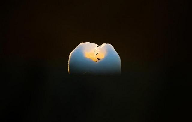 《三峰攝影》清麗自由的天使：相機里定格鳥兒最美的瞬間