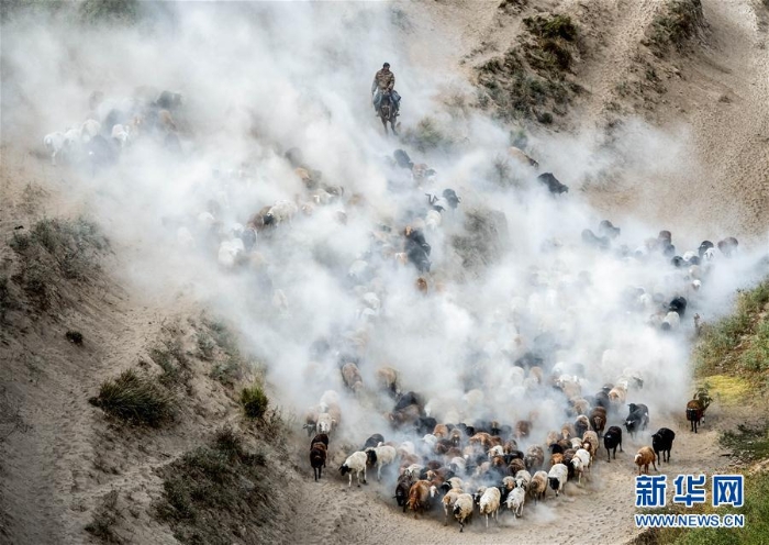 #（社會）（4）新疆伊犁河谷牧民開始秋季轉(zhuǎn)場