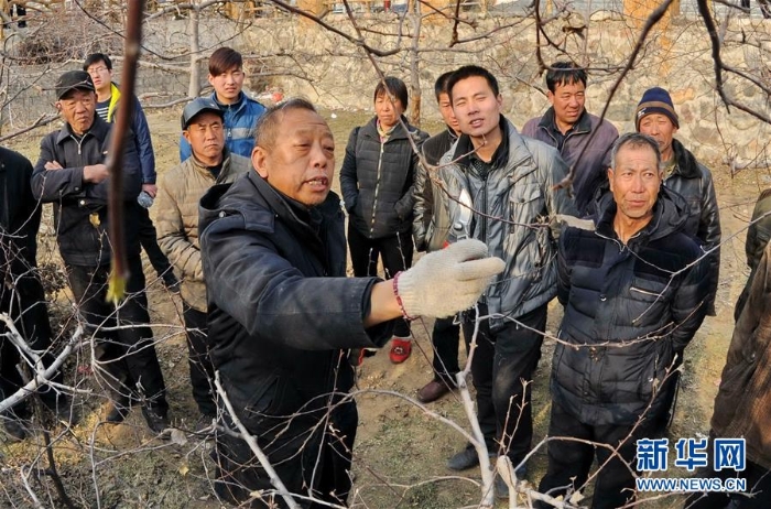 （新華全媒頭條·十九大特別報(bào)道·圖文互動(dòng)）（7）再塑黨的形象的偉大工程——中國(guó)共產(chǎn)黨自身建設(shè)的五年探索之路