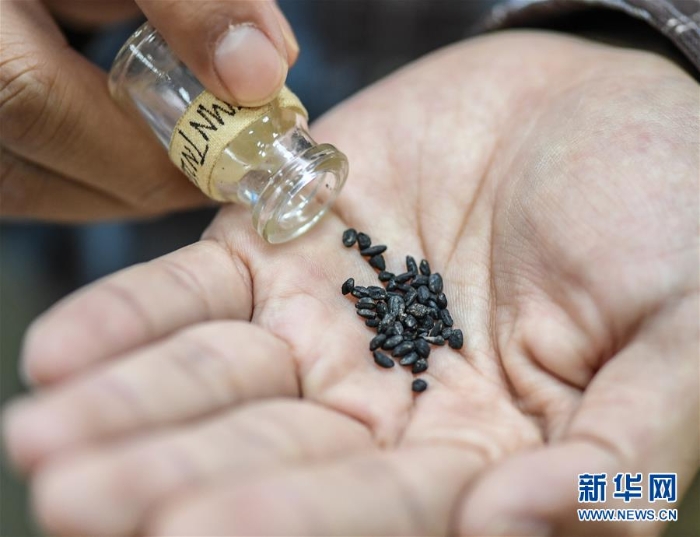 （文化）（2）福建史前考古：洞穴遺址發(fā)現(xiàn)大量農(nóng)作物遺存顛覆傳統(tǒng)觀點(diǎn)